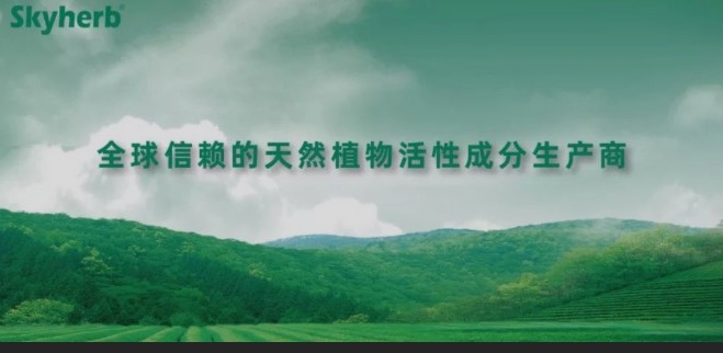多年不懈努力，終獲官方青睞！